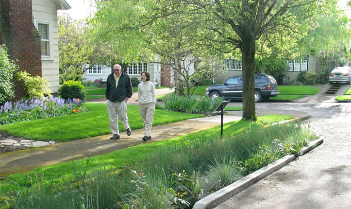 DistrictScale Stormwater Management Case Study EcoDistricts