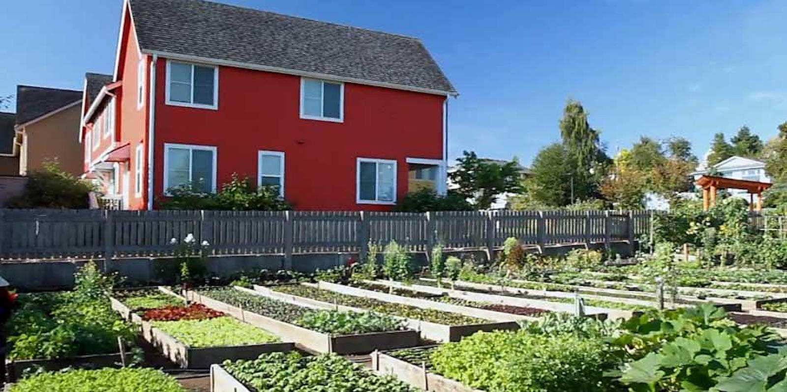 affordable housing with garden